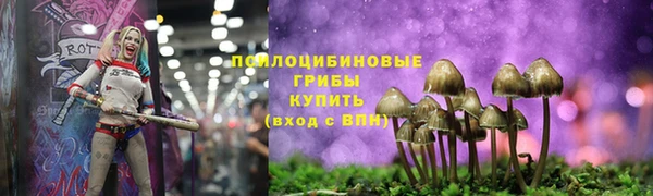 экстази Гусиноозёрск
