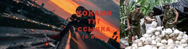 гидропоника Гусев