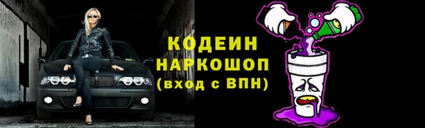 крисы Касимов