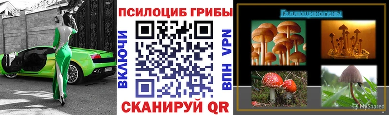Галлюциногенные грибы Psilocybe  kraken tor  Калачинск 